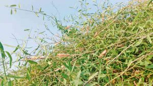 content_image_f76f6b02-11eb-434d-a946-558e11b731d6