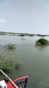 nadi
