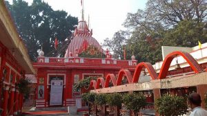 images_8