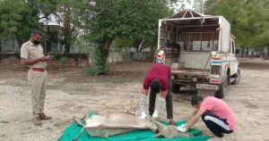 WhatsApp-Image-2021-06-22-at-12.15.19-PM