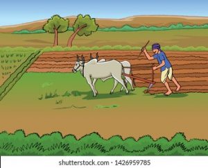 vector-drawing-farmer-farming-bullock-260nw-1426959785