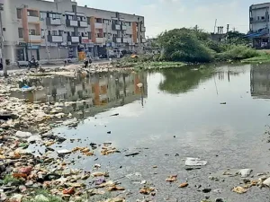 pani..