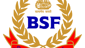 BSF_1651734786576_1651734795595