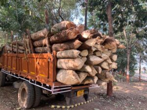 lakda lila truck