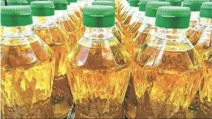 oil-1