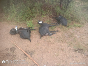 image-44
