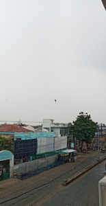 image-50