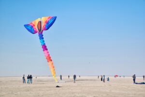 file-photo-international-kite-festival-2023