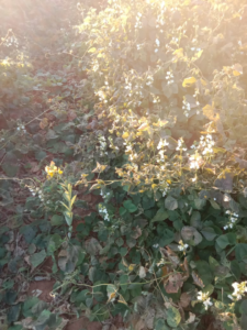 image-63