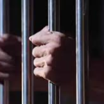 લાકડા ખરીદી કરવા પેટે આપવામાં આવેલ ચેક પરત ફરતા આરોપી એક વર્ષ માટે જેલના હવાલે