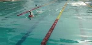image-39