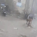 પૂર્વ કચ્છમાં વરસાદનું આગમન