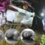 શિરડી દર્શન કરીને પરત ફરેલા મિત્રોને નડ્યો અકસ્માત : ત્રણના મોત અન્ય ચાર ગંભીર હાલતમાં