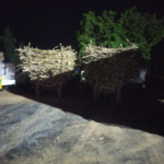 “ખાવડા પોલીસ સ્ટેશન વિસ્તારમાંથી આધાર પુરાવા વગરના ગાંડા બાવળોના લીલા લાકડાના જથ્થા સાથે બે ઇસમોને પકડી પાડતી લોકલ ક્રાઇમ બ્રાન્ય પશ્ચિમ કચ્છ ભુજ”