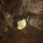 ભુજના સંજોગનગરના રહેણાક મકાનમાં કેમિકલ પદાર્થ ફેકી કર્યો બ્લાસ્ટ