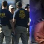 અમેરિકામાં 11 ગુજરાતીઓની વિઝા ફ્રોડમાં કરાઈ ધરપકડ