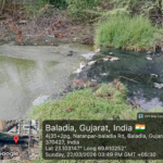 “બળદિયા જળાશયમાં મલમૂત્રયુક્ત દૂષિત પાણીનો ત્રાસ યથાવત – 12 મહિનાથી રજૂઆત છતાં તંત્ર નિષ્ક્રિય!”