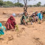 અદાણી ફાઉ. ને ટુંડા ગામમાં વિકસાવ્યું ‘અદાણી વન’ ૧૦,૦૦૦ વૃક્ષોના વાવેતર સાથે કચ્છમાં નવી લીલી- છમ ઇકોસિસ્ટમની શરૂઆત