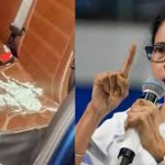 ચૂંટણીપંચ અને ભાજપ આગ સાથે ખેલી રહ્યું છે:મમતા બેનર્જી