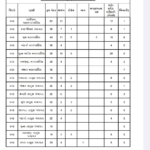 સ્થાનિક સ્વરાજ ચૂંટણી પરિણામ