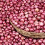 ગરીબોની કસ્તૂરી પણ મોંઘી બની