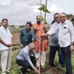 “સેવા મારું યોગદાન” અંતર્ગત ગાંધીધામ મહાનગરપાલિકા દ્વાર વૃક્ષારોપણ કાર્યક્રમ યોજાયો