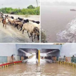 એક રાતમાં ચમત્કાર,કચ્છમાં ધોધમાર વરસાદ