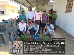 વૃક્ષારોપણ